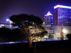-丽思卡尔顿·炙焰·铁板烧餐厅