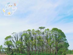 -广富林郊野公园