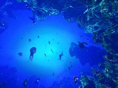 -海合安成都极地海洋公园
