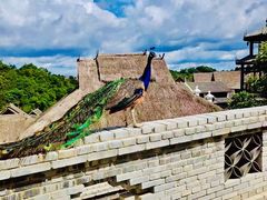 -西双版纳原始森林公园