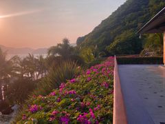 -日落吧·海景咖啡厅·餐酒吧·鸡尾酒·下午茶·乐队表演·浪漫夕阳·三亚文华东方酒店
