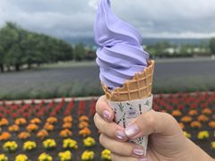 -富田农场