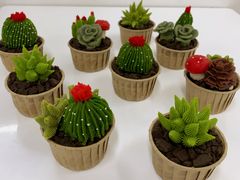 -威利旺卡烘焙西点蛋糕培训(朝阳校区)