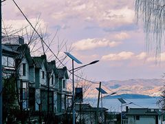 -寂照庵