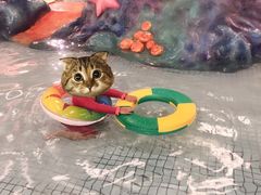 -南宫温泉水世界