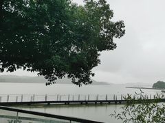 -水上明月·湖景餐厅