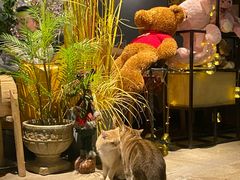 -咖法森林·咖啡  酒吧(天河店)