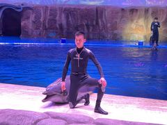 -华夏文旅海洋公园