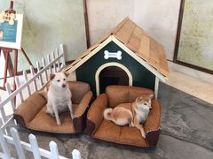 -上海崇明金茂凯悦酒店