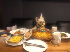 -百好乐宠物友好餐厅(朝外大街店)