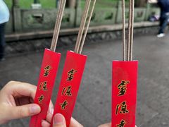 -灵隐飞来峰景区
