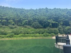-九龙潭景区