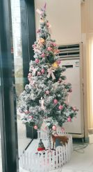 -3AM HAIR SALON染发接发