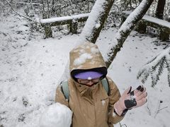 -武陵山森林公园