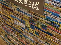 -猫的天空之城概念书店(印象城购物中心店)