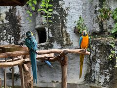 -清迈夜间动物园