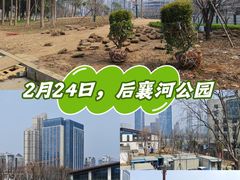 -后襄河公园