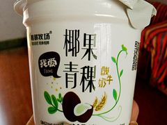 -德禄酸奶(莫家街店)