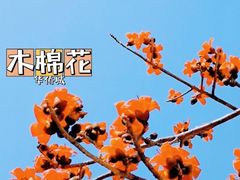 -白石龙音乐公园