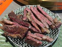 -杨小佳·齐齐哈尔烤肉·烤串(广州店)
