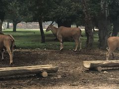 -西安秦岭野生动物园
