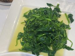 -正兴蜀园(科技园区店)