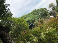 -东湖落雁景区