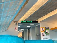 -龙阳路磁悬浮列车总站-停车场