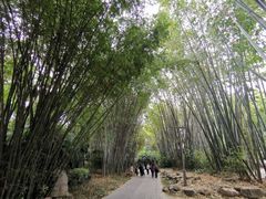 -望江楼公园