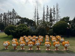 -上海长兴岛郊野公园