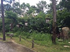 -金山植物公园