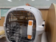 -联合动物医院(光谷诊疗中心)