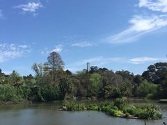 -墨尔本皇家植物园