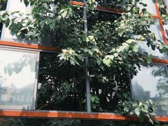 -西安市广仁寺