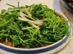 白灼丝瓜尖-渔娘渔家丹东海鲜(东直门店)