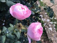 -人民公园(罗湖区)