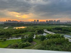-哈尔滨大剧院