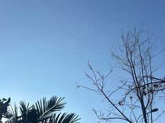 -苍山感通索道