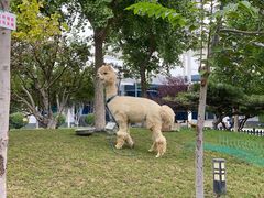 -东方时尚驾校摩托车考试场(东方时尚驾校西区店)
