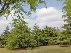 -泰丰公园
