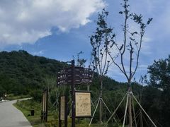 -北京西山国家森林公园