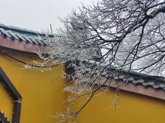 -灵顺寺
