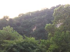 -火炉山森林公园