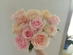 -循礼门鲜花花市(武汉循礼门店)