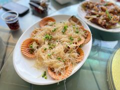 蒜蓉粉丝蒸扇贝-七鲜渔港美食餐厅(巽寮湾海景店)