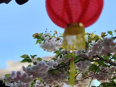 -雨花胜境