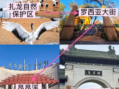 -十二忠手拉面(中华路店)