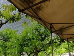 -玫瑰庄园·自助烧烤·烤全羊·团建拓展(龙泉山店)
