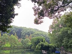 -忠山公园
