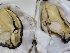 -小海丁
